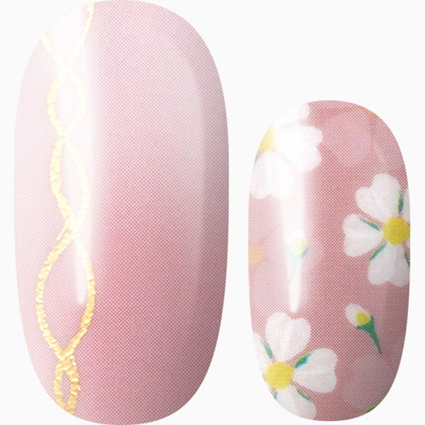 Petals And Promises