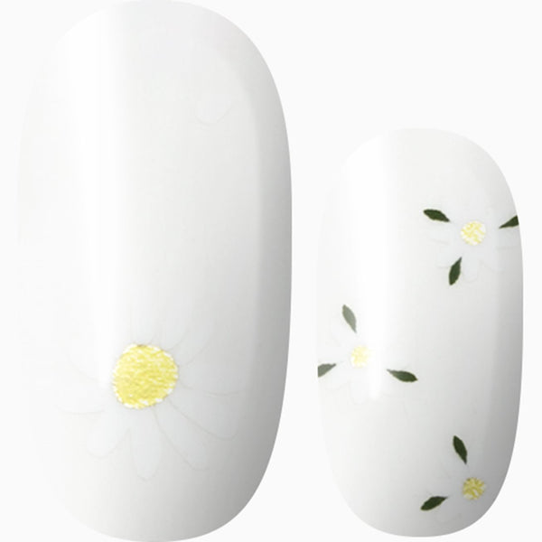Daisy Digits