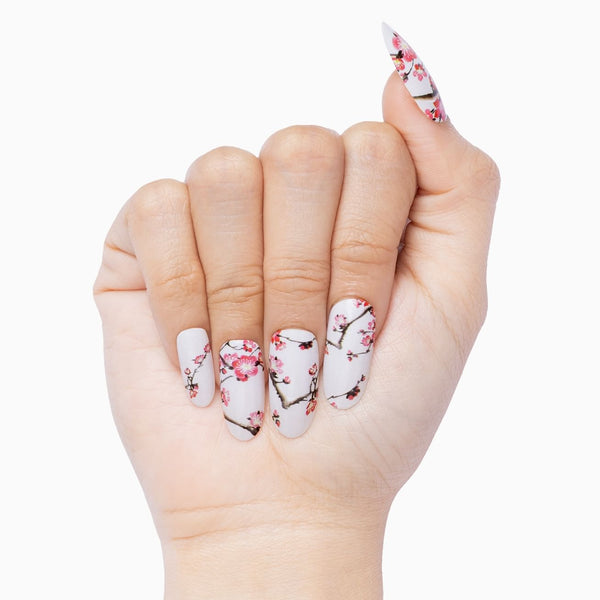 Cherry Blossom Girl