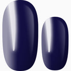 Midnight Blue