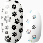 Anything is Paw-sible (transparent)