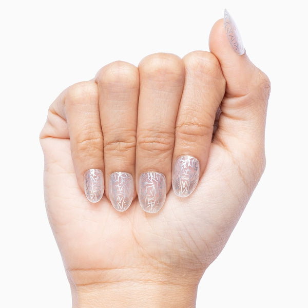 Life Of The Party (transparent)