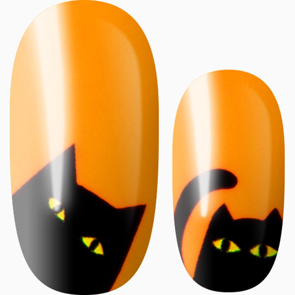 Happy Meow-lloween