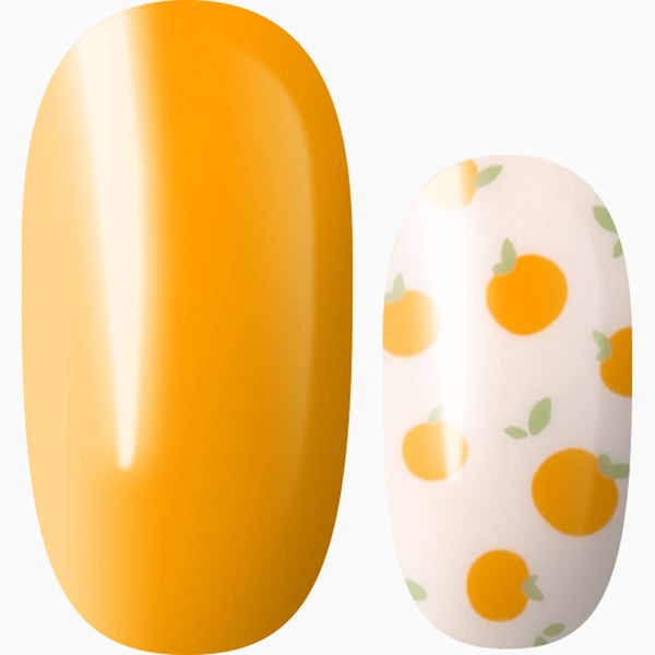 Orange You The Cutest