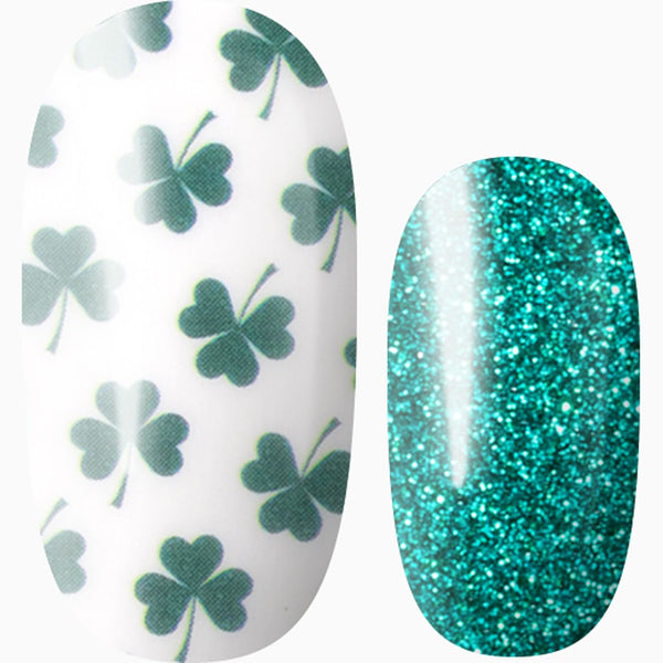 Who’s Your Paddy?!