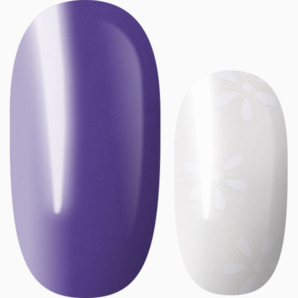 Sweet Aroma (transparent)