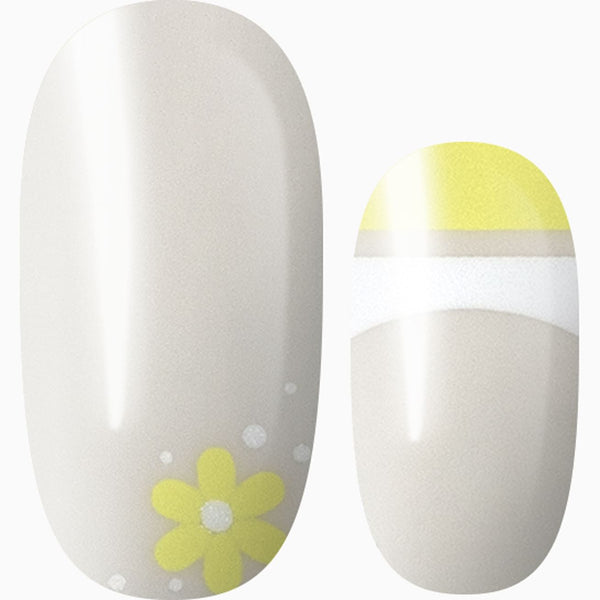 Sunshine & Daisies