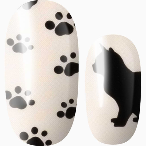 Paw-sitive Vibes