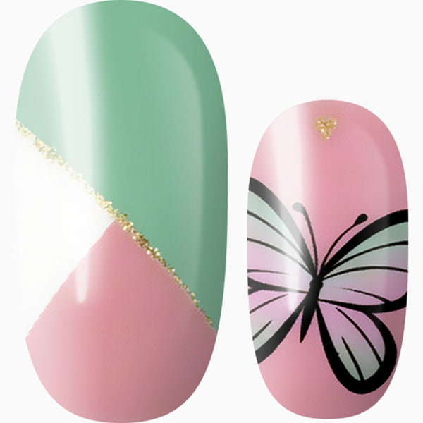 Spring Flutter