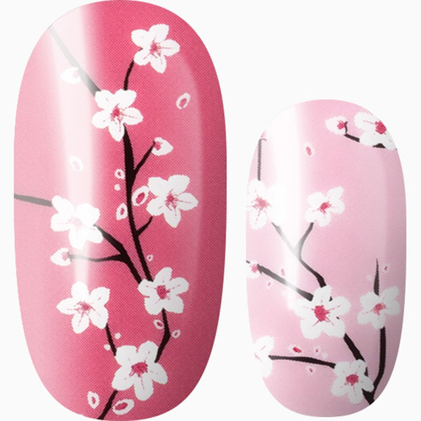 Blooming In Perfection