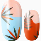 Where The Red Fern Grows