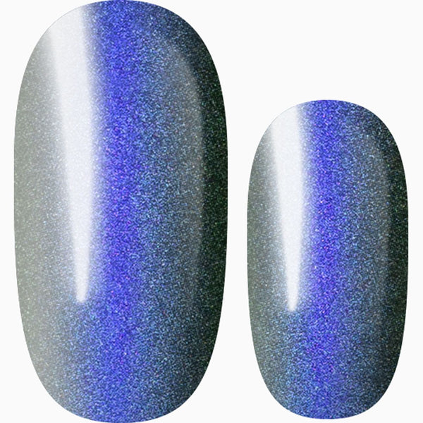 Feel My Love Tonight