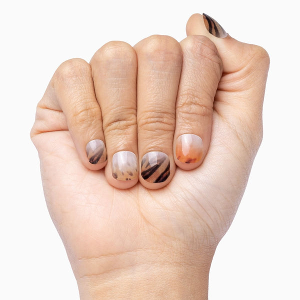 Dream Of Something Wild