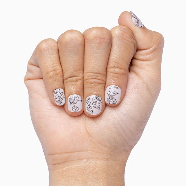 First Leaves Of Autumn