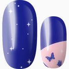 Starlight Flutter