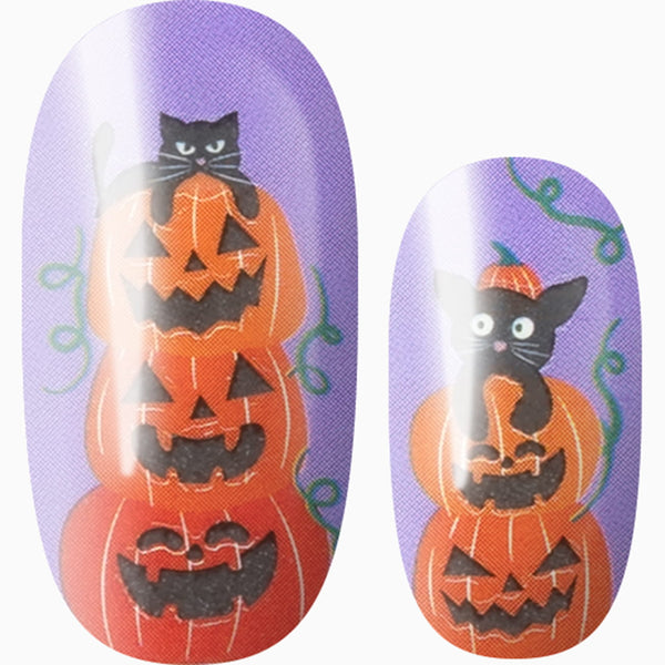 Cat-o'-Lantern (Purple)