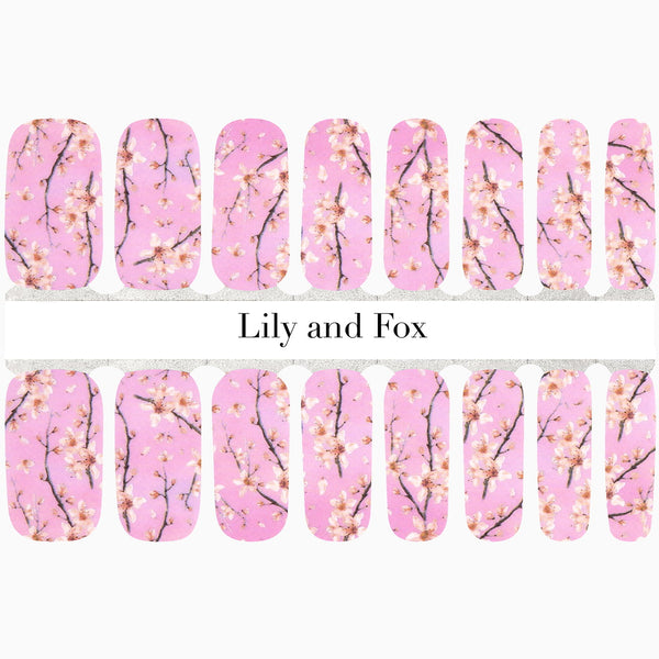 Cherry Blossom Season (Pink)