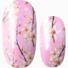 Cherry Blossom Season (Pink)