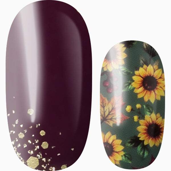 Sunny Side of Autumn